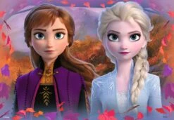 Ravensburger Frozen II Reis Naar Het Onbekende Kinderpuzzel 2 X 24 Stukjes -Speel Actief Verkoop Frozen II Reis naar het onbekende ravensburger puzzel 2