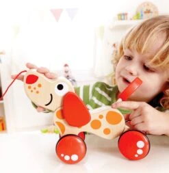 Trekfiguur – Hape – Pepe Pull Along -Speel Actief Verkoop houten trekfiguur hape walk a long puppy 2