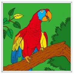 Kleurboek Colouring Book -Speel Actief Verkoop kleurboek colouring book 3