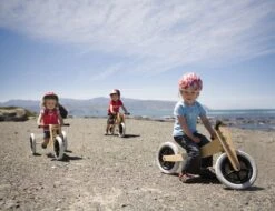 Wishbonebike 3-in-1 Loopfiets 13 Wishbonebike 3-in-1 Loopfiets -Speel Actief Verkoop loopfiets wishbone bike 4