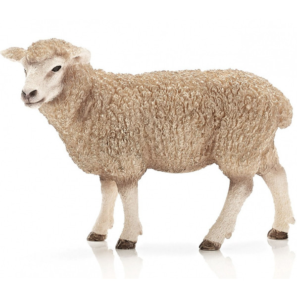Voorkant -Speel Actief Verkoop schleich 13743 schaap 2