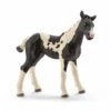 Schleich 13803 Pinto Veulen HorseClub -Speel Actief Verkoop schleich 13803 pinto veulen 1
