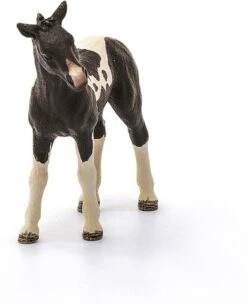Schleich 13803 Pinto Veulen HorseClub -Speel Actief Verkoop schleich 13803 pinto veulen 2