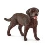 Schleich 13834 Labrador Retriever Teef -Speel Actief Verkoop schleich 13834 labrador retriever teefje