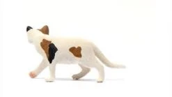 Schleich 13894 Amerikaanse Kortharige Kat FarmWorld 7 Schleich 13894 Amerikaanse Kortharige Kat FarmWorld -Speel Actief Verkoop schleich 13894 amerikaanse kortharige kat 2