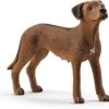 Schleich 13895 Leeuwhond FarmWorld 1 Schleich 13895 Leeuwhond FarmWorld -Speel Actief Verkoop schleich 13895 leeuwhond