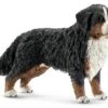 Schleich 16397 Berner Sennenhond 1 Schleich 16397 Berner Sennenhond -Speel Actief Verkoop schleich 42363 hond berner sennen