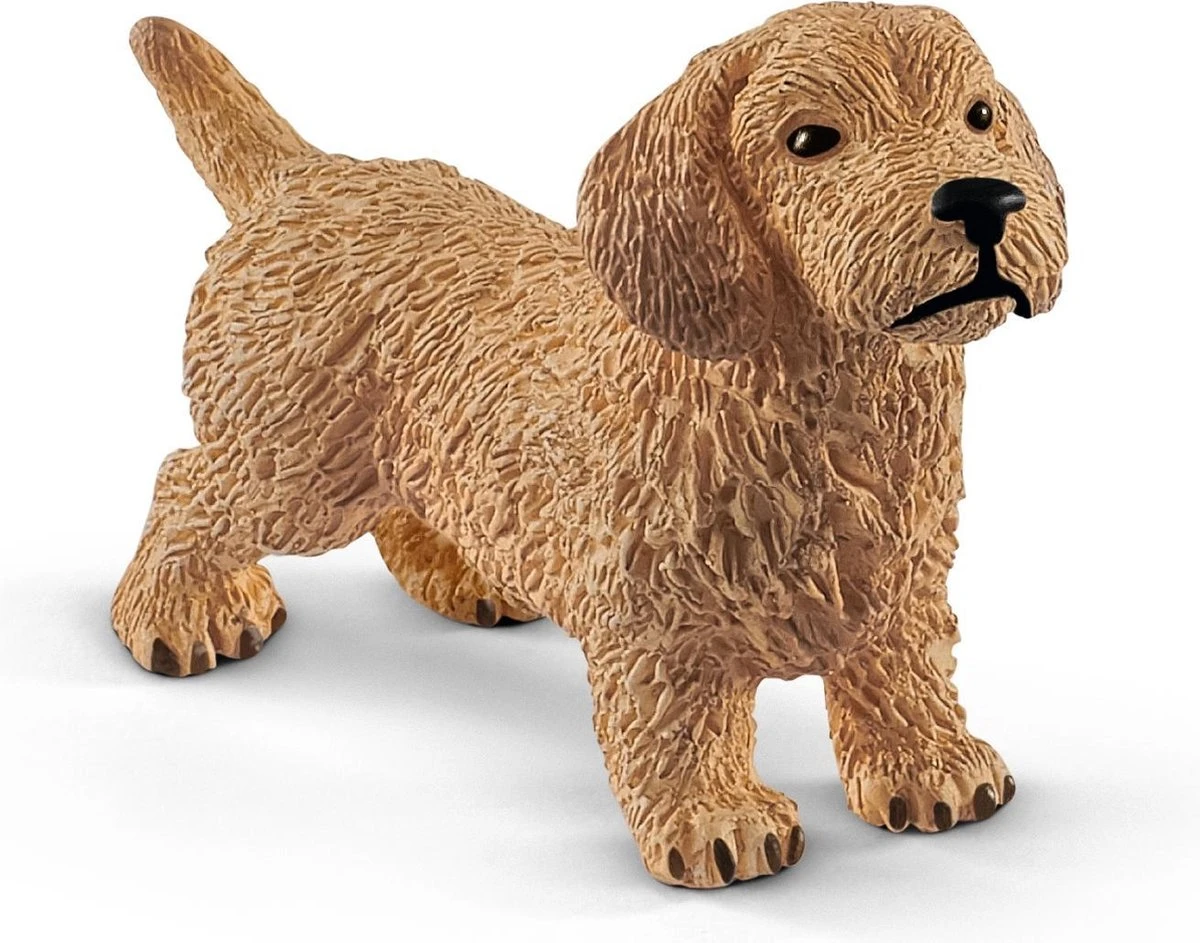 Schleich 13891 Teckel Hond Farmworld 5 Schleich 13891 Teckel Hond Farmworld - Afbeelding 3